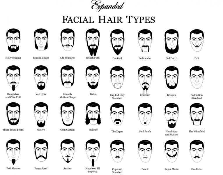 Name:  beardtypes1.jpg
Views: 282
Size:  64.7 KB